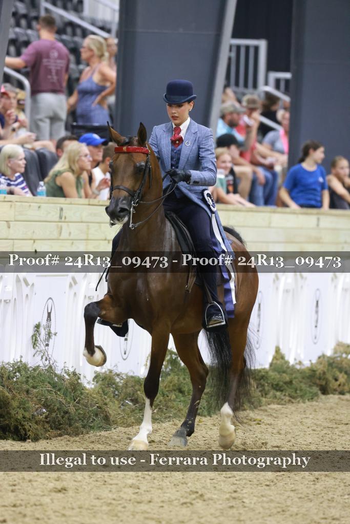 Proof 24R13_09473