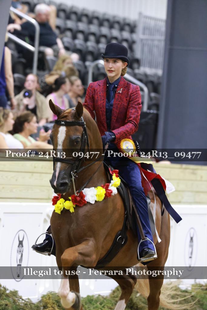 Proof 24R13_09477
