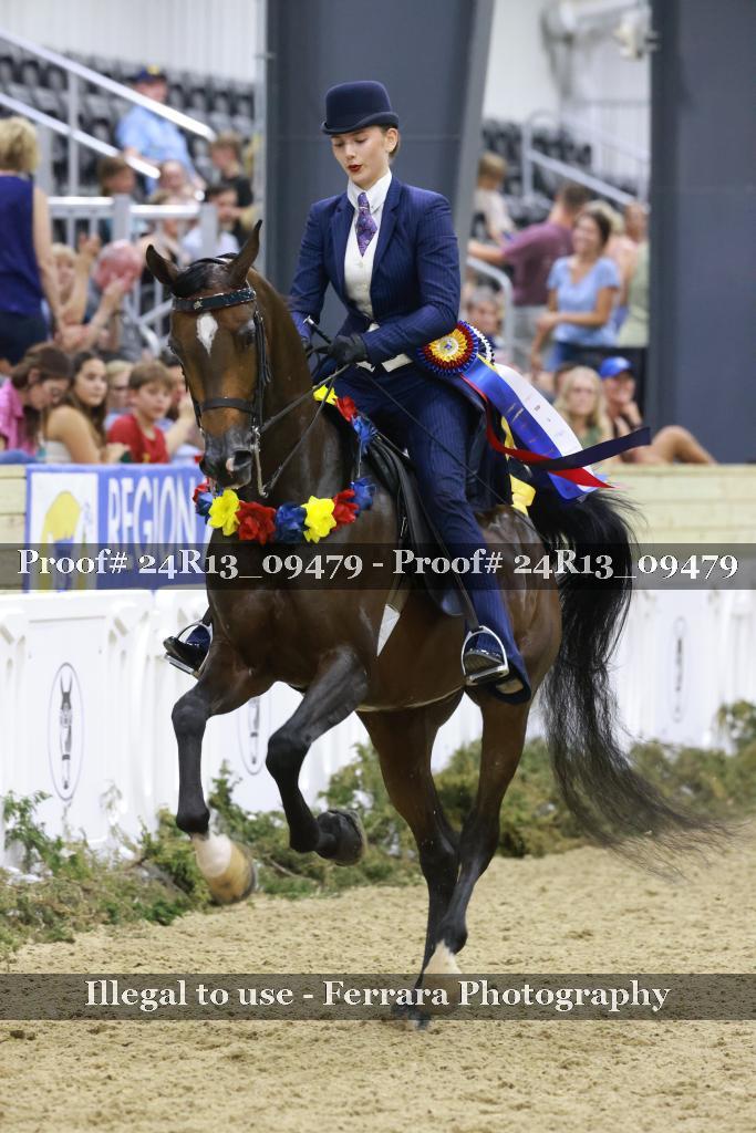 Proof 24R13_09479