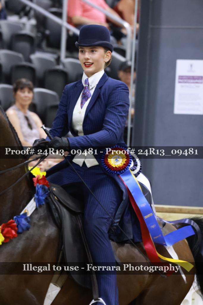 Proof 24R13_09481