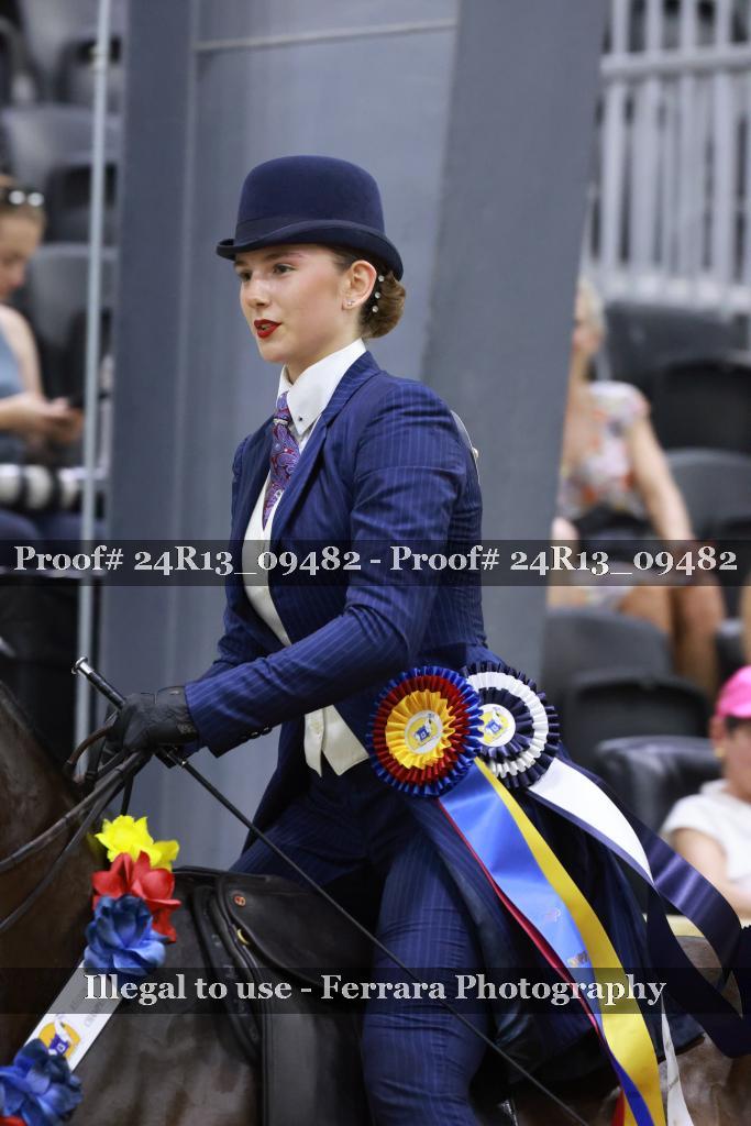 Proof 24R13_09482