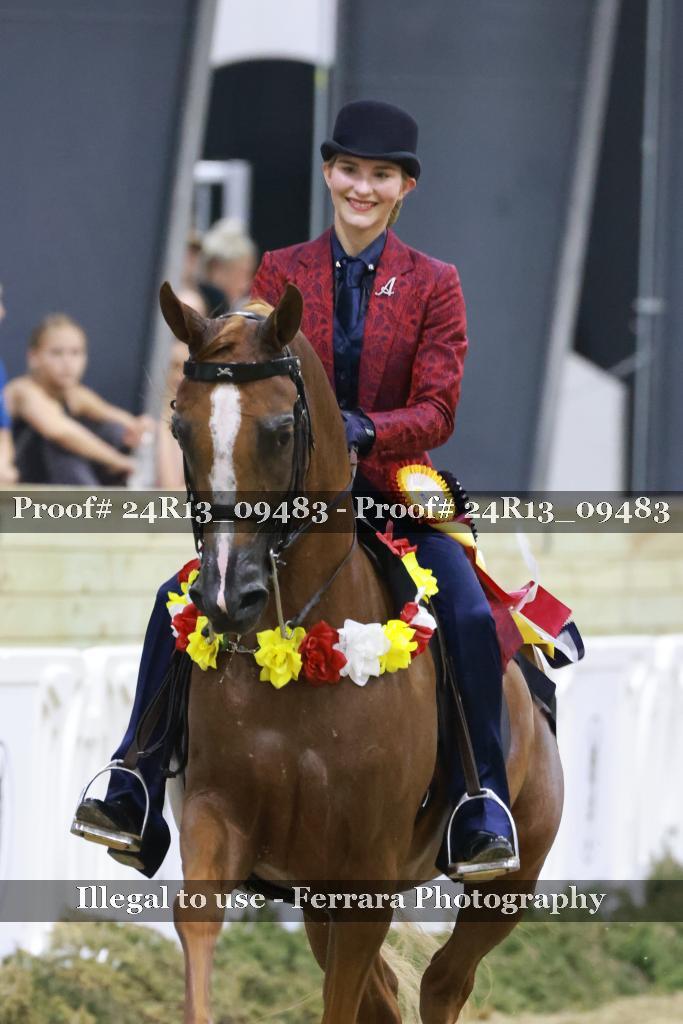 Proof 24R13_09483