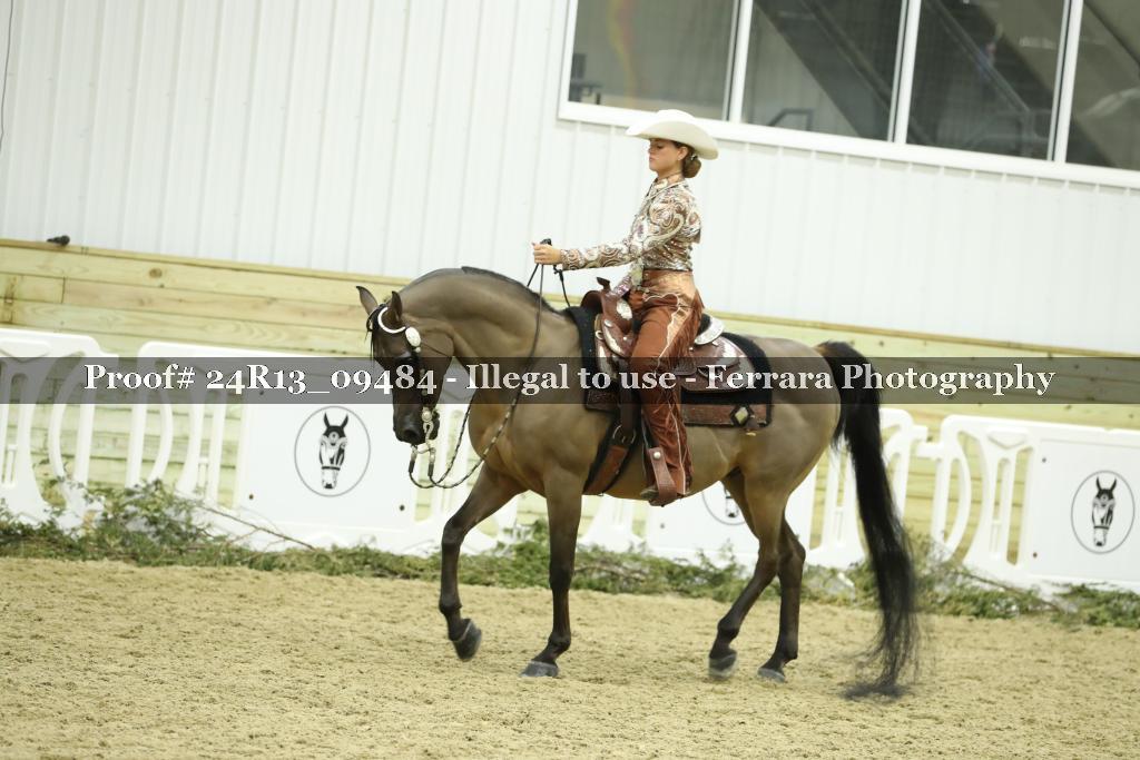 Proof 24R13_09484