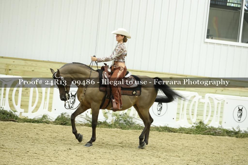 Proof 24R13_09486