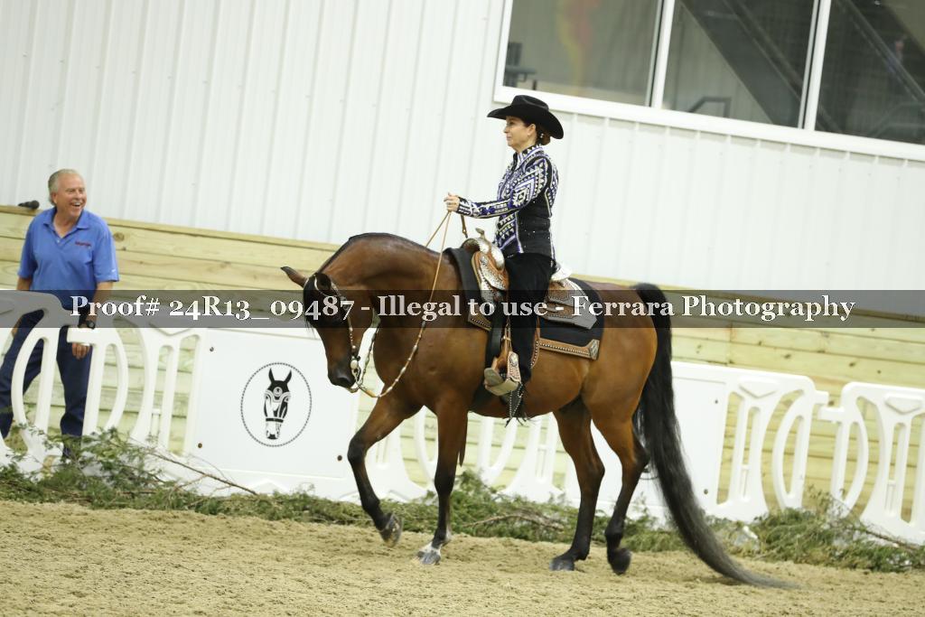Proof 24R13_09487