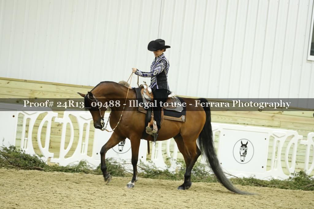 Proof 24R13_09488