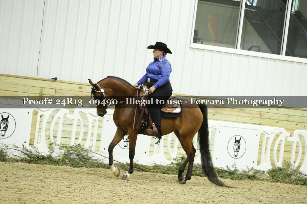 Proof 24R13_09490