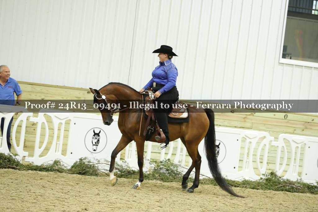 Proof 24R13_09491
