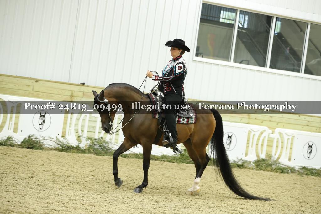 Proof 24R13_09493