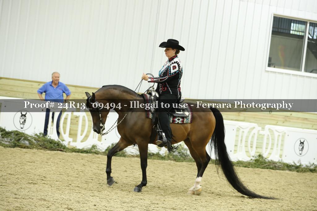 Proof 24R13_09494