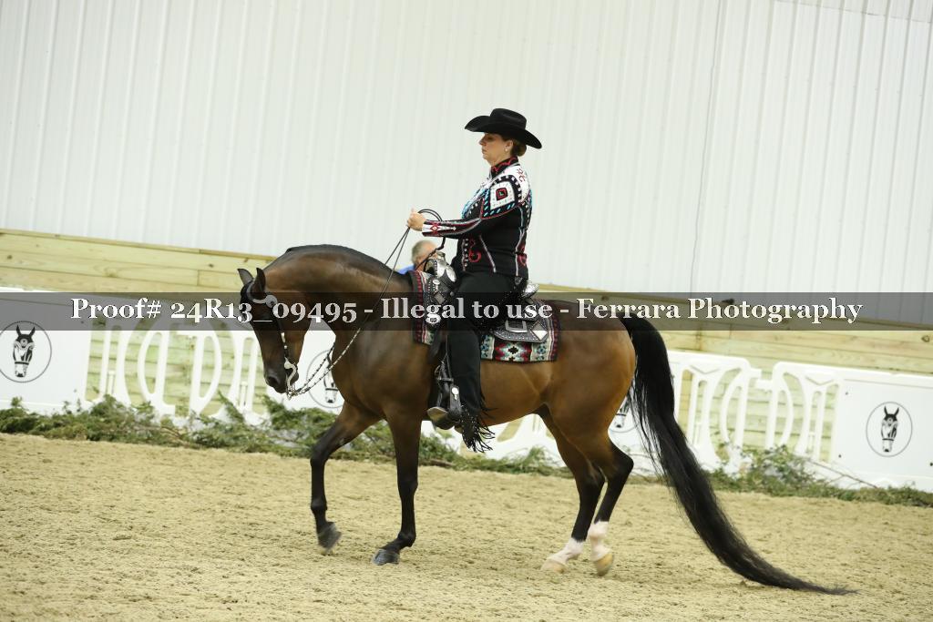 Proof 24R13_09495