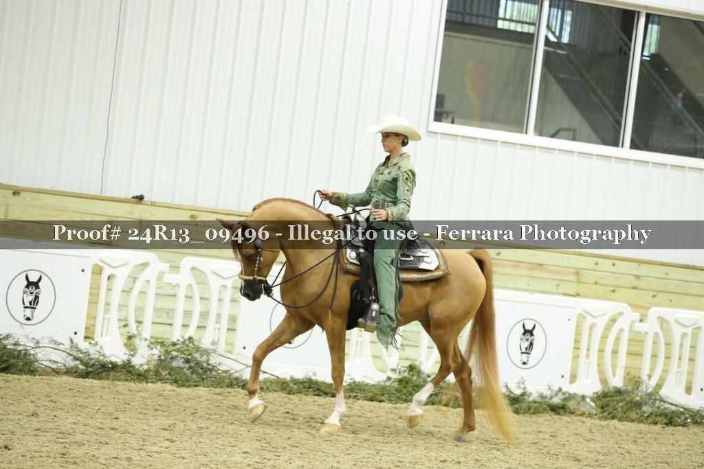 Proof 24R13_09496