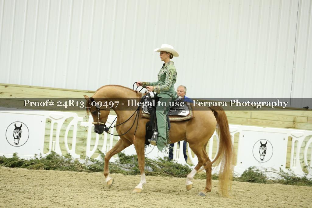 Proof 24R13_09497