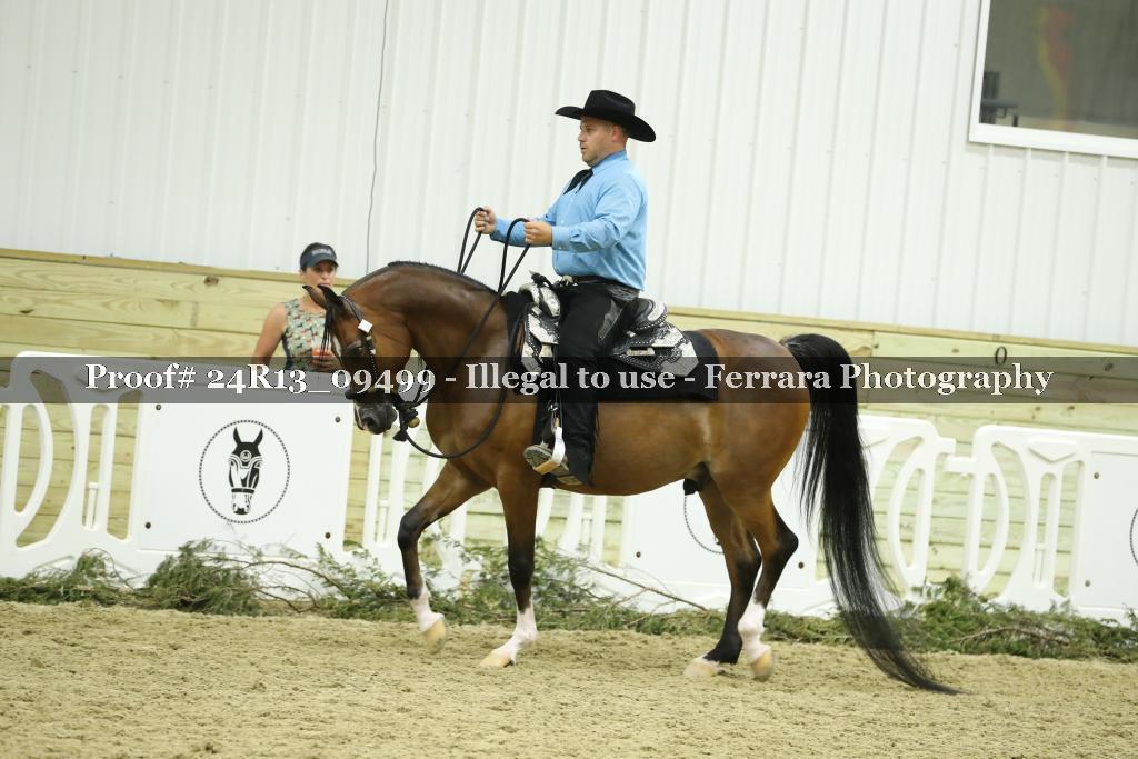 Proof 24R13_09499