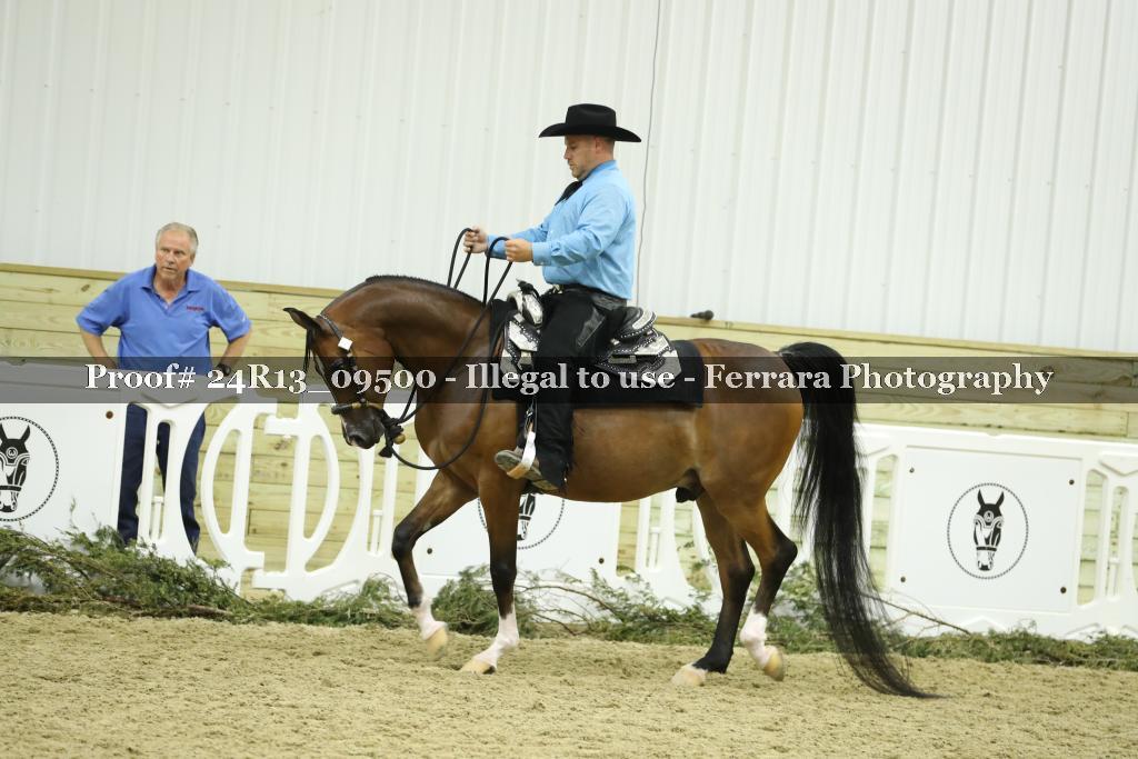 Proof 24R13_09500