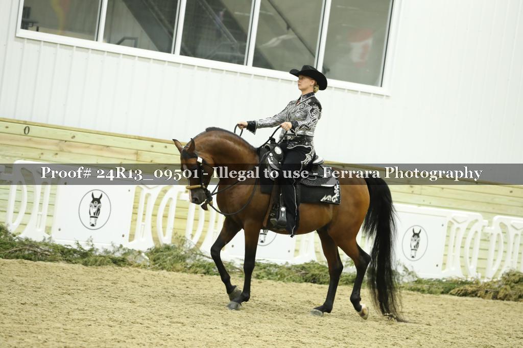 Proof 24R13_09501