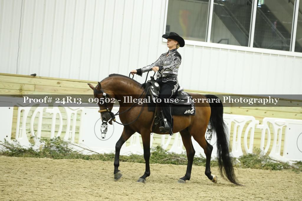 Proof 24R13_09502