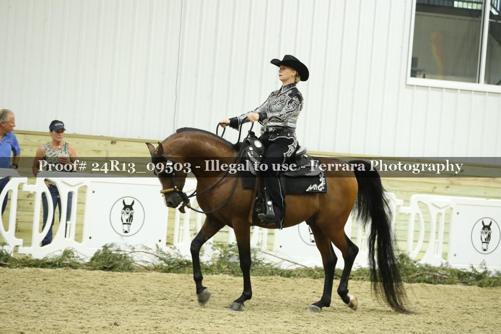 Proof 24R13_09503