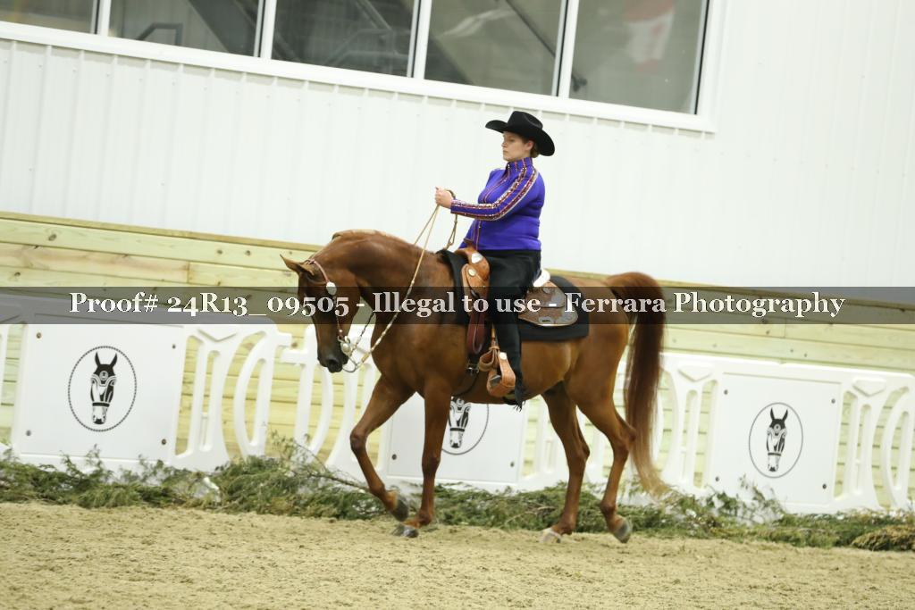 Proof 24R13_09505