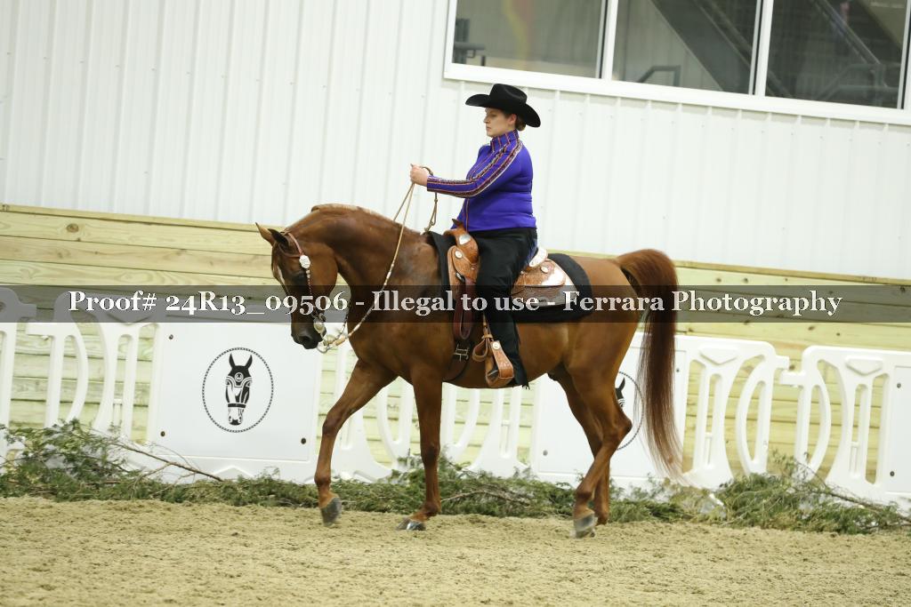 Proof 24R13_09506