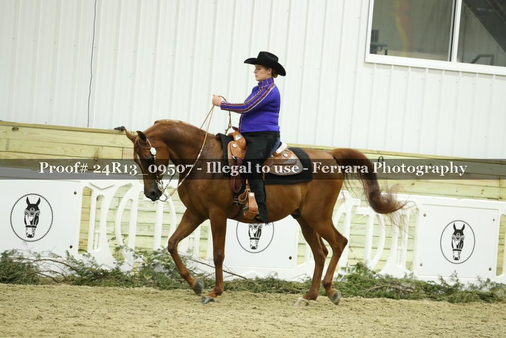 Proof 24R13_09507