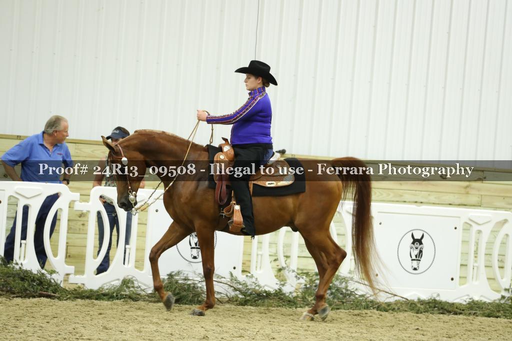 Proof 24R13_09508