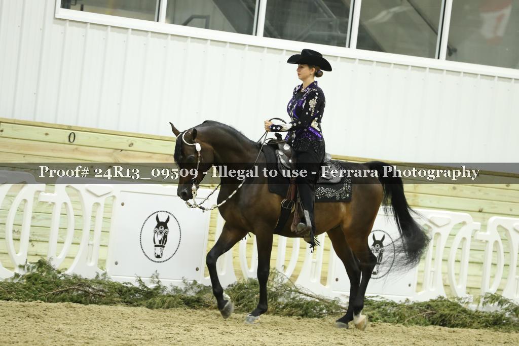 Proof 24R13_09509