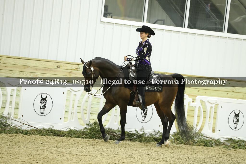 Proof 24R13_09510