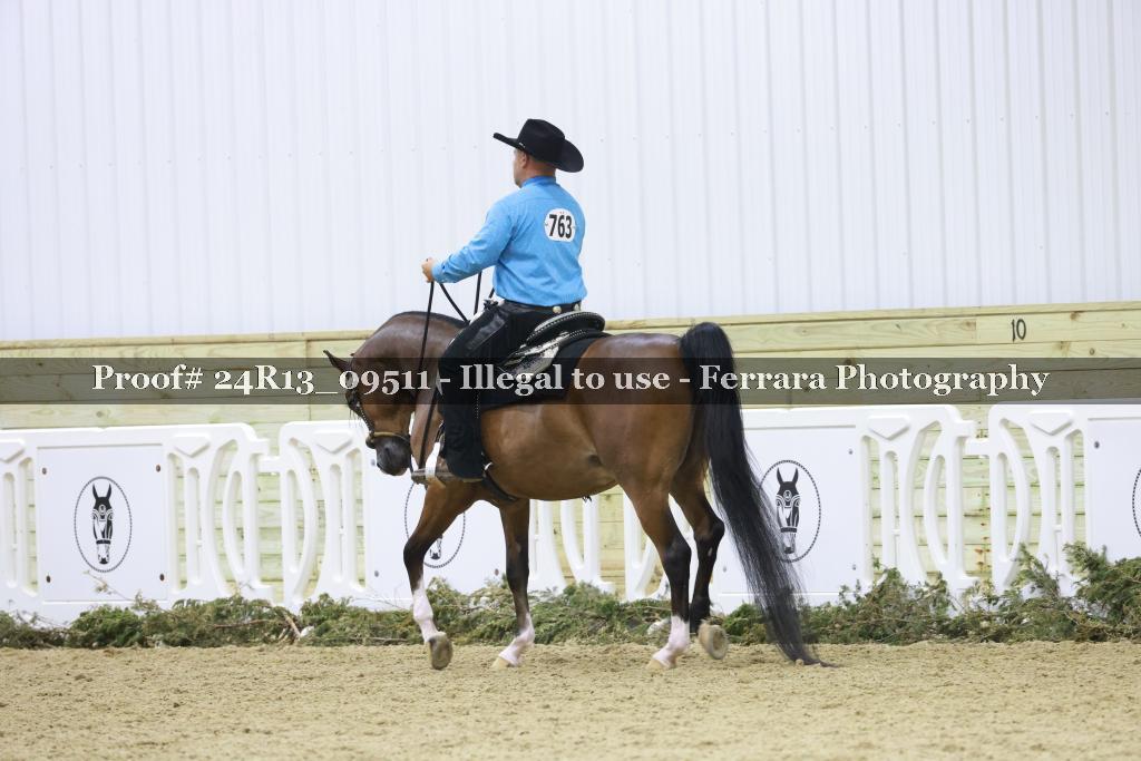Proof 24R13_09511