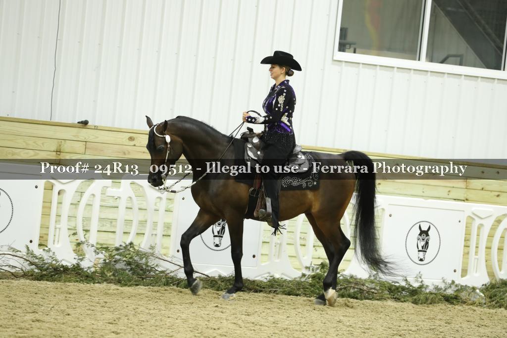 Proof 24R13_09512