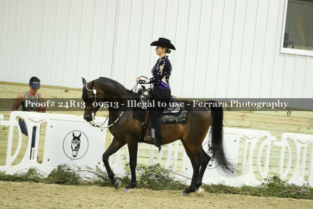Proof 24R13_09513