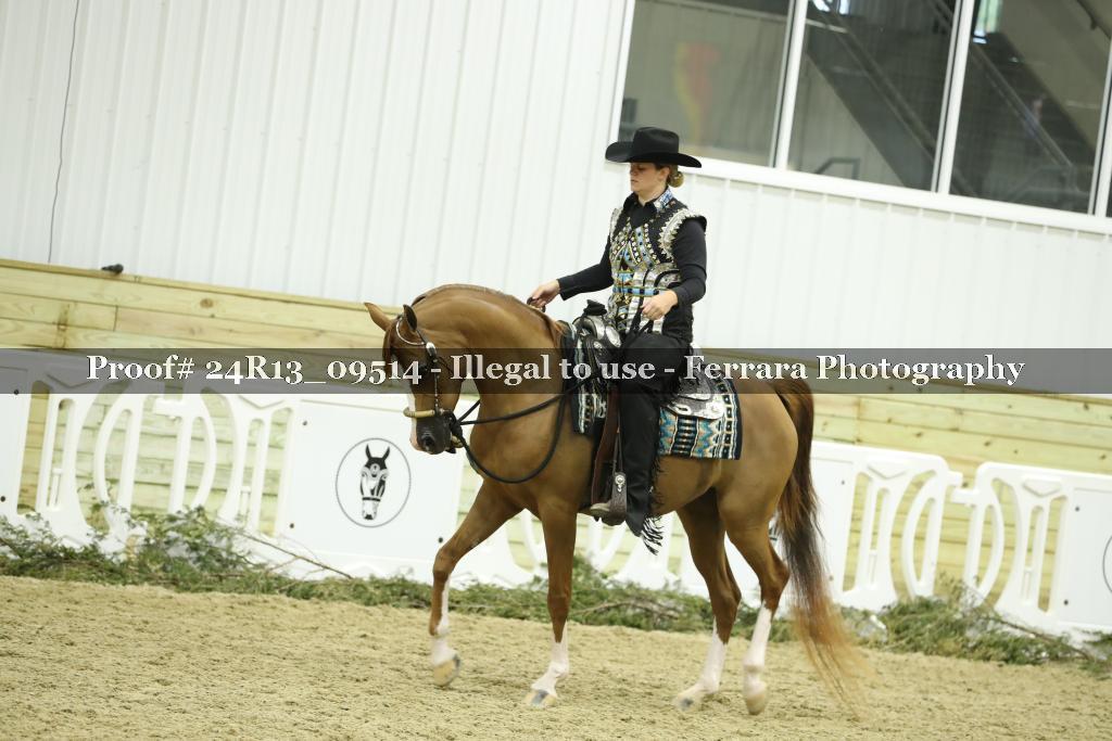 Proof 24R13_09514