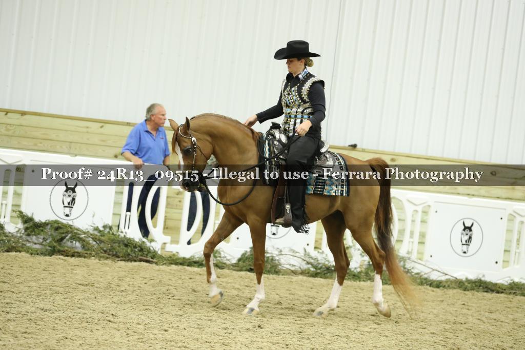 Proof 24R13_09515