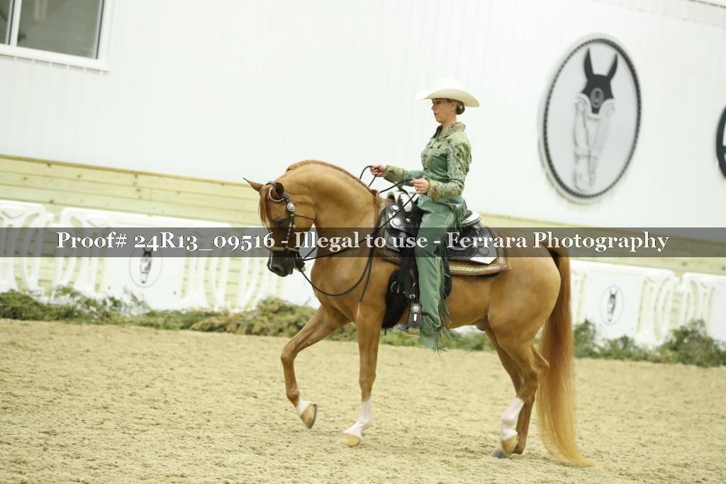 Proof 24R13_09516