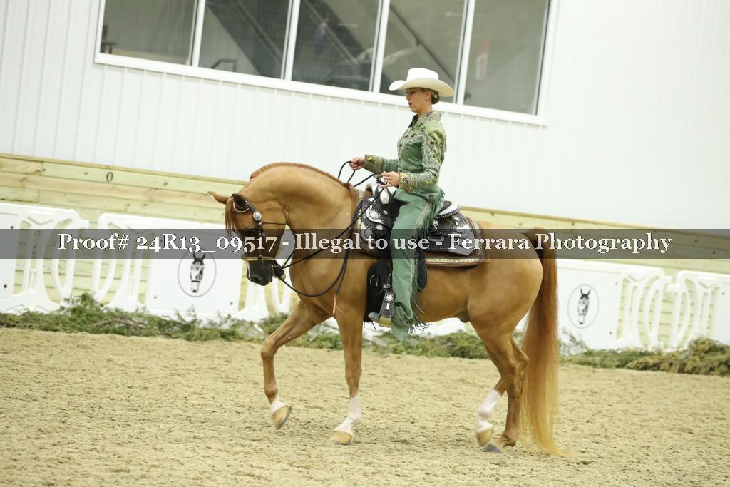 Proof 24R13_09517
