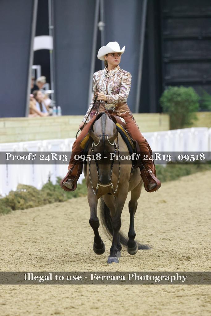Proof 24R13_09518