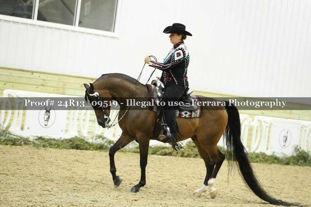 Proof 24R13_09519