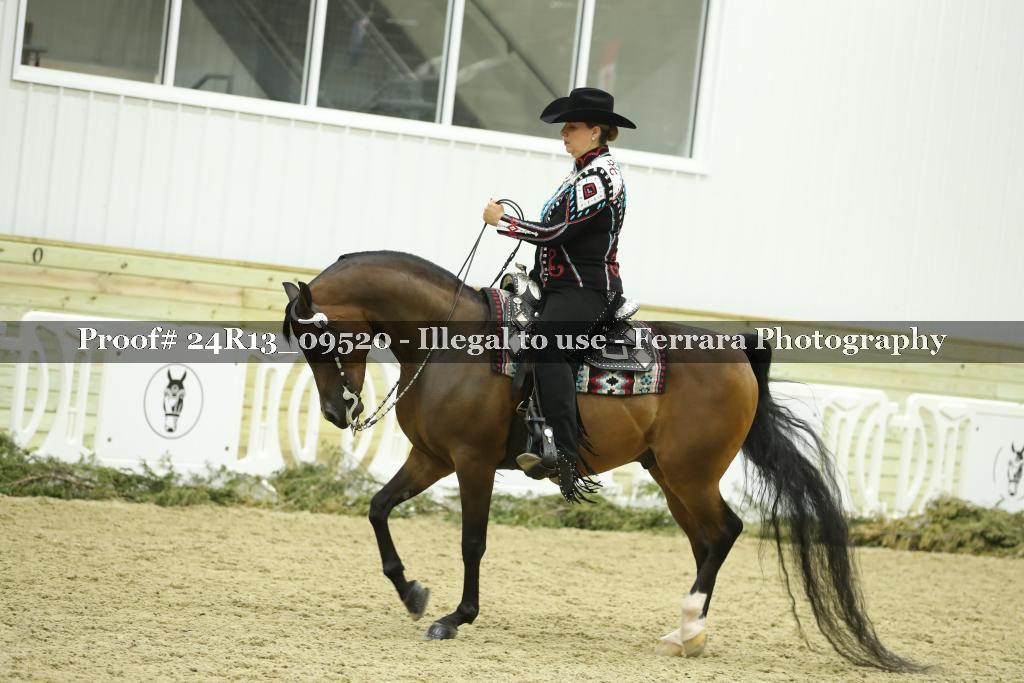 Proof 24R13_09520