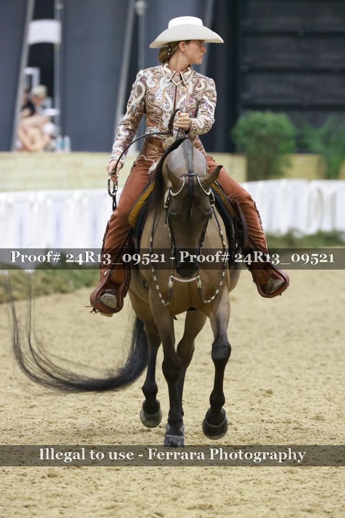 Proof 24R13_09521