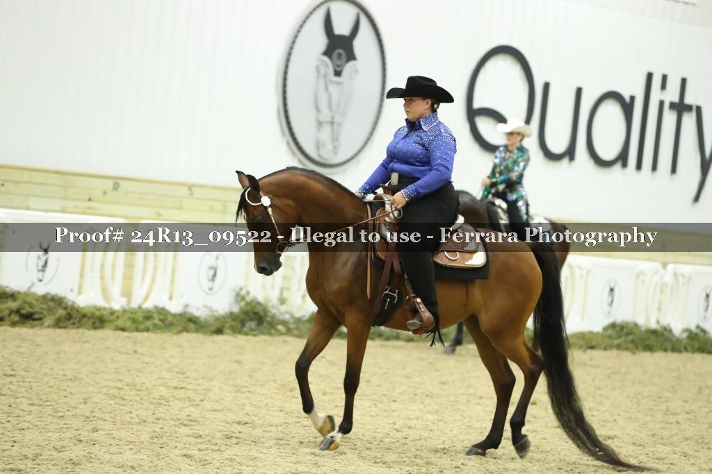 Proof 24R13_09522