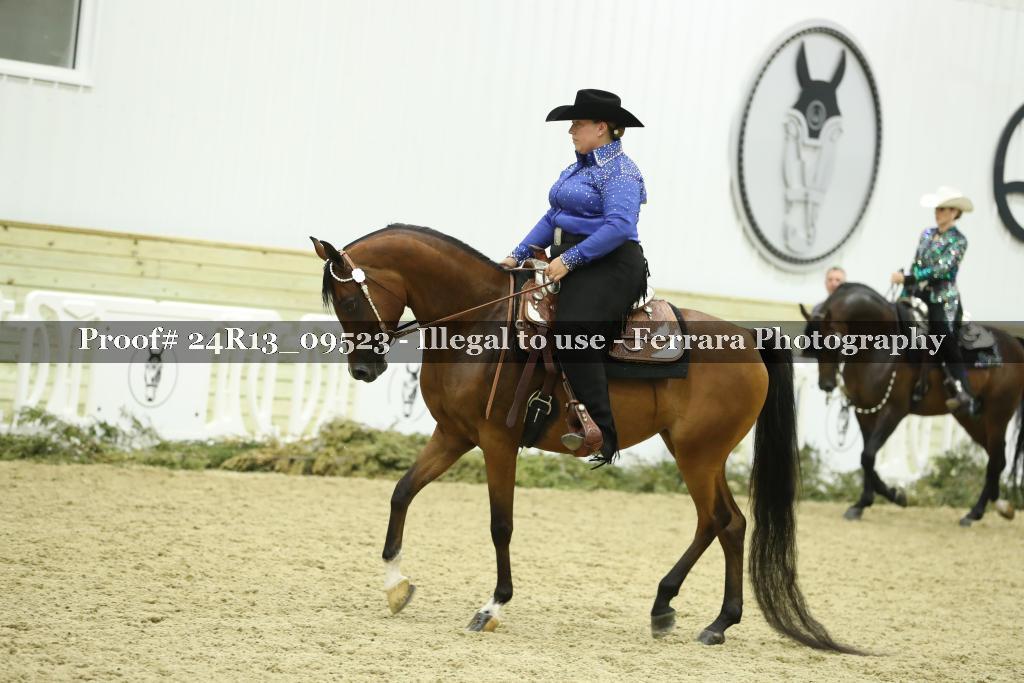 Proof 24R13_09523