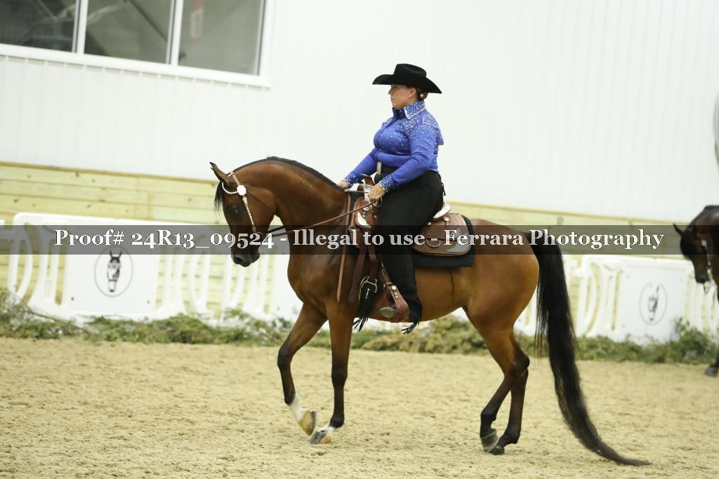 Proof 24R13_09524