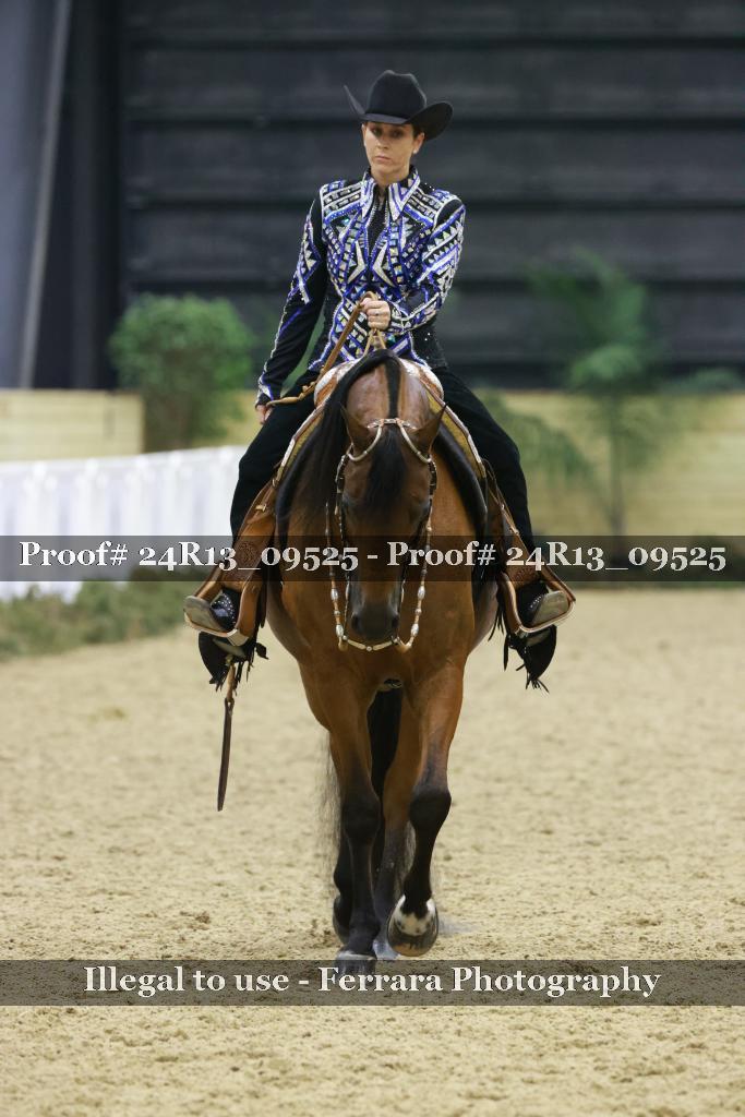 Proof 24R13_09525