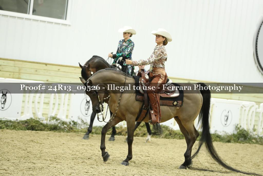 Proof 24R13_09526