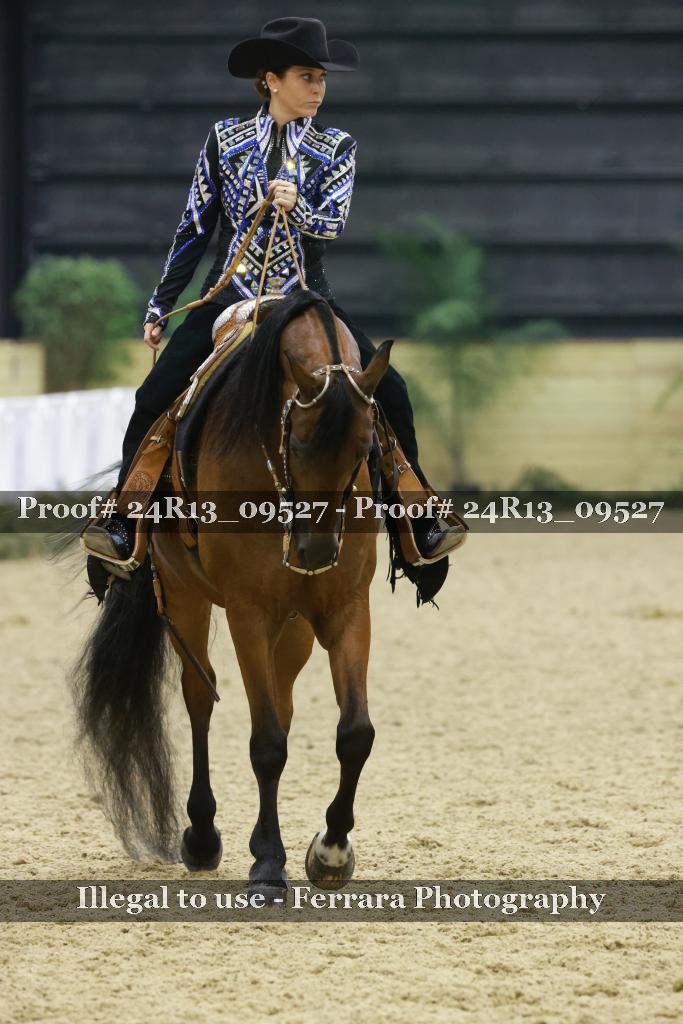 Proof 24R13_09527
