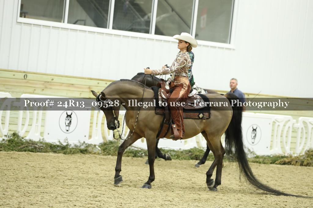 Proof 24R13_09528