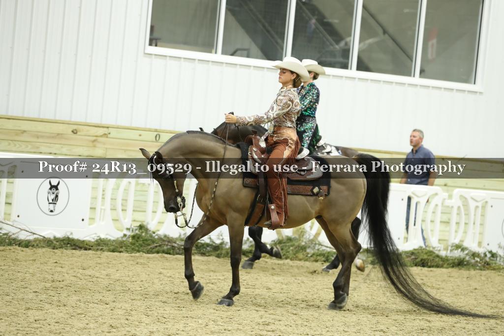 Proof 24R13_09529