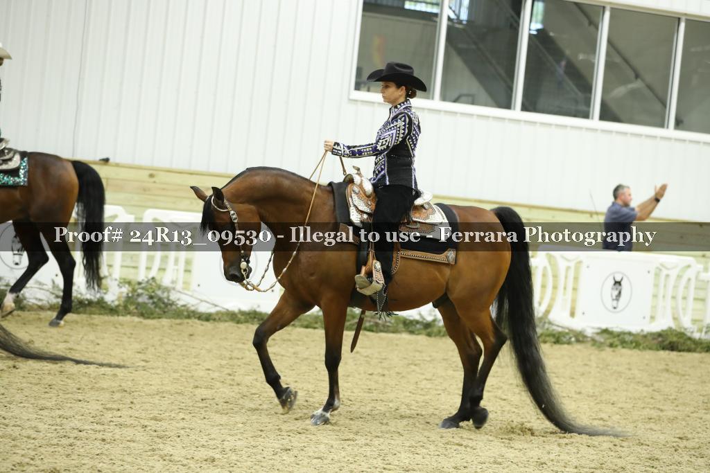 Proof 24R13_09530