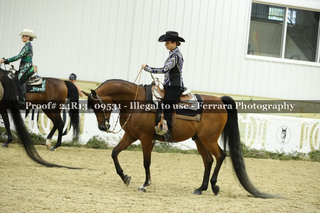 Proof 24R13_09531