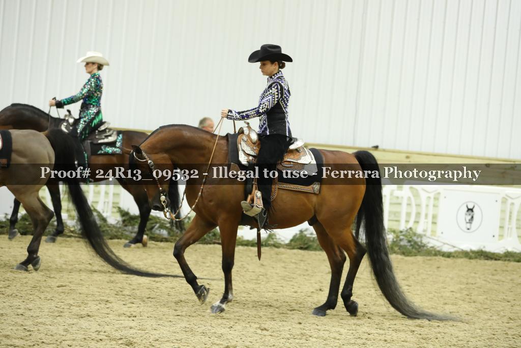 Proof 24R13_09532